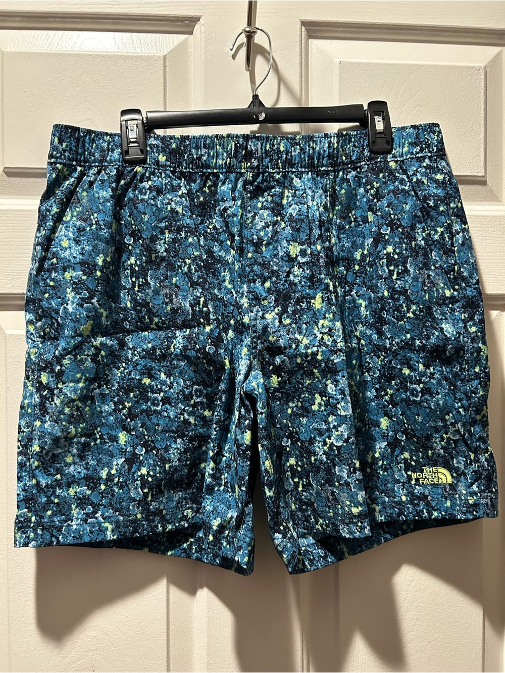 The North Face Men’s Wander Shorts in Beta Blue Lichen Print Size Large